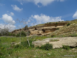 lazzelli-19-04-2018 10-54-39